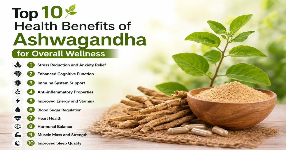 Top 10 Health Benefits of Ashwagandha for Overall Wellness