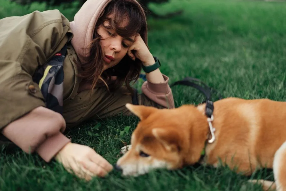5 Simple Positive Reinforcement Dog Training Exercises for Everyday Success