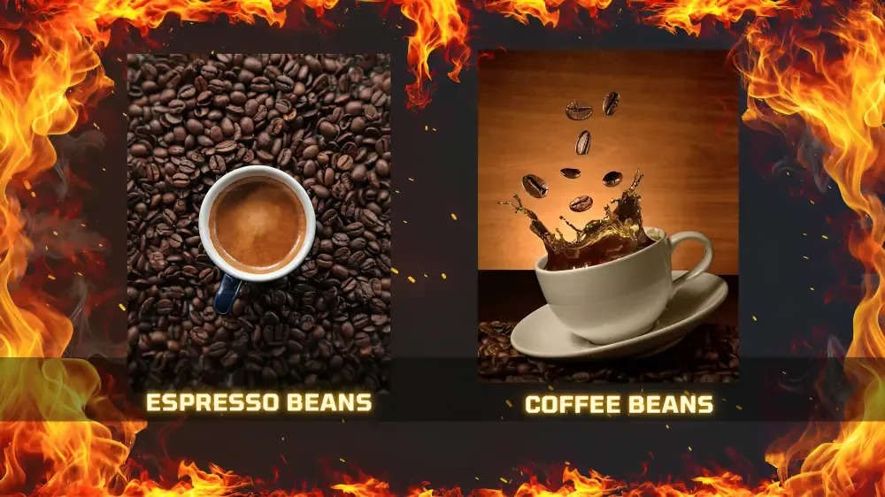 Espresso Beans vs Coffee Beans