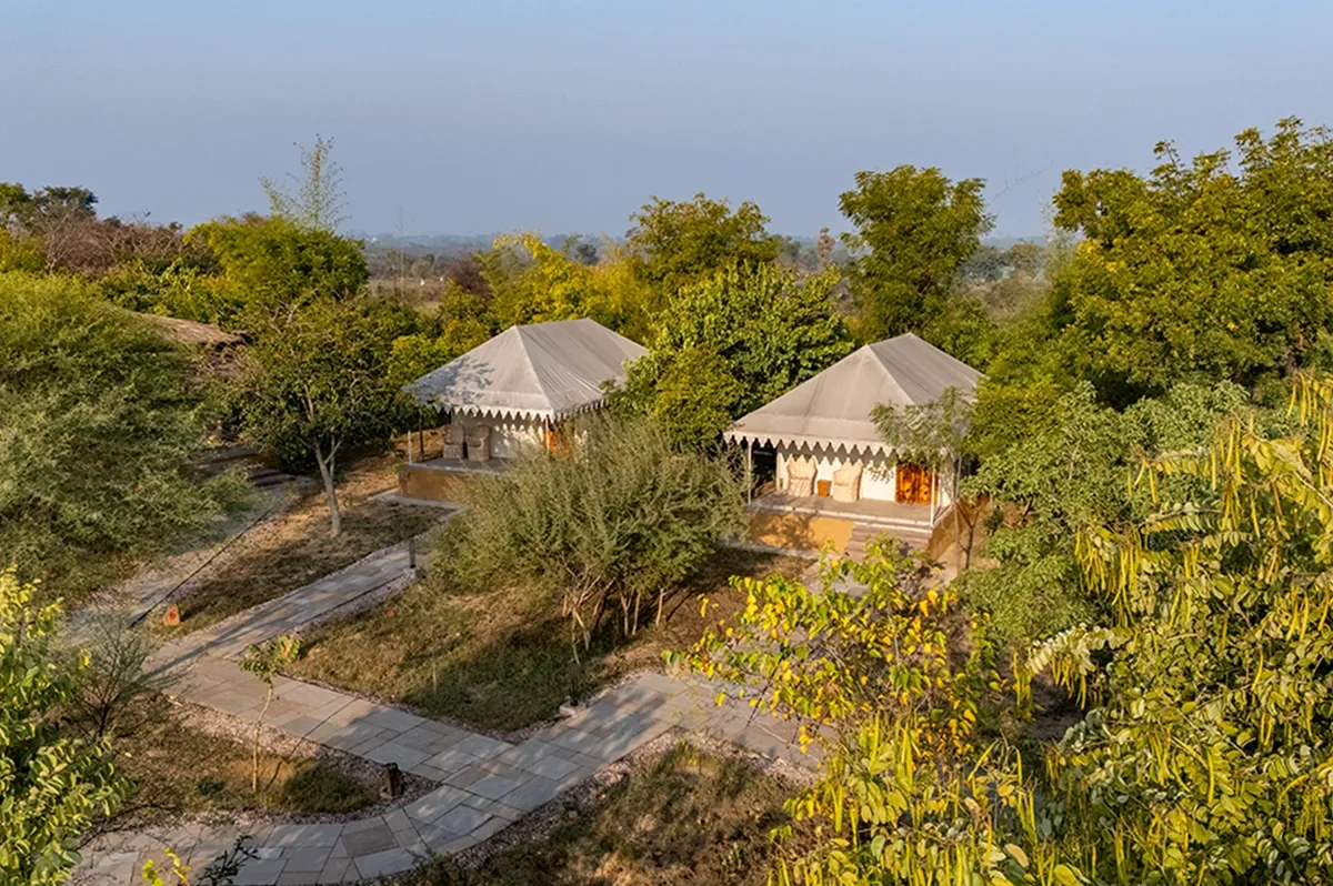 Resort In Sariska: Your Complete Guide to a Peaceful Luxury Escape