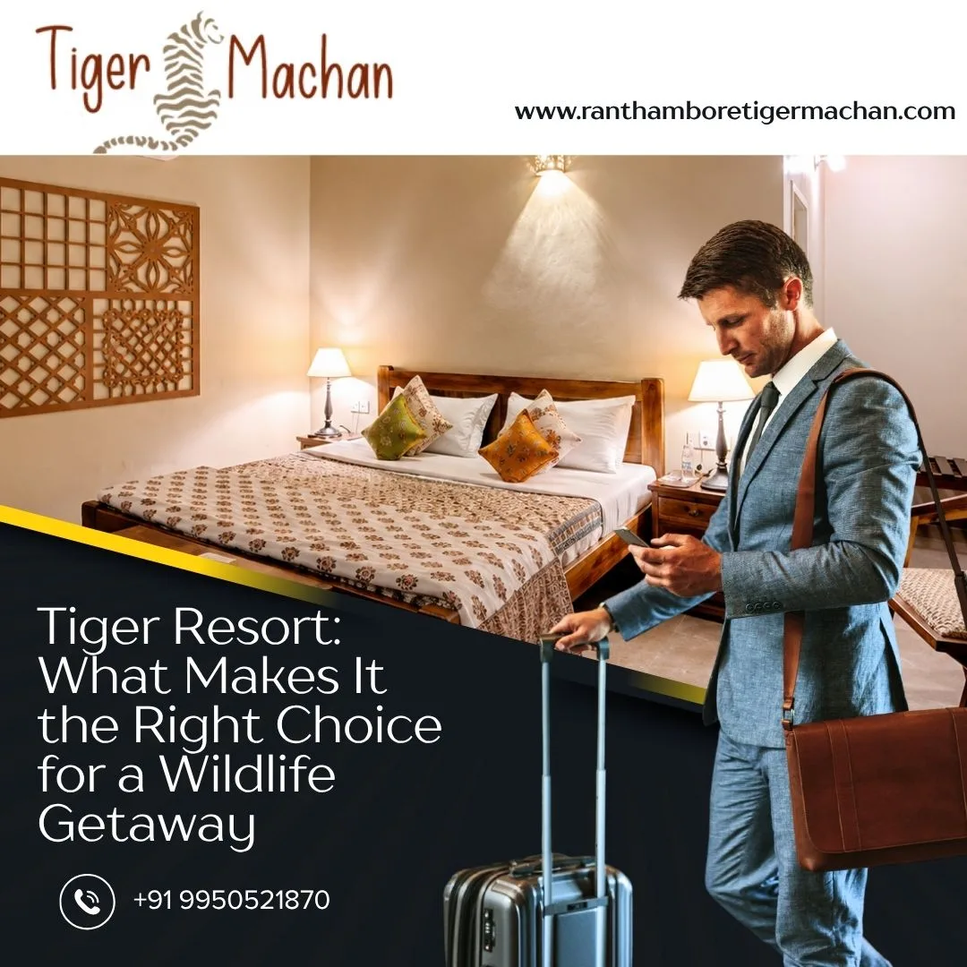 Tiger Resort: What Makes It the Right Choice for a Wildlife Getaway