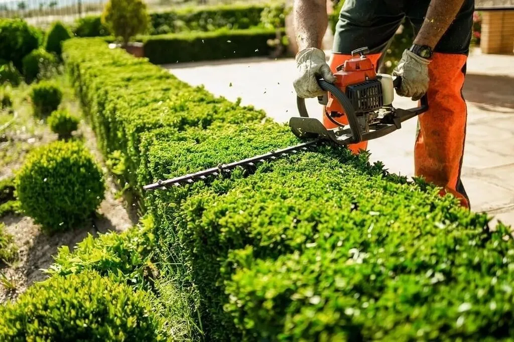 Can Engineered Drainage Services Protect Your Luxury Property Value in New Roads, LA?