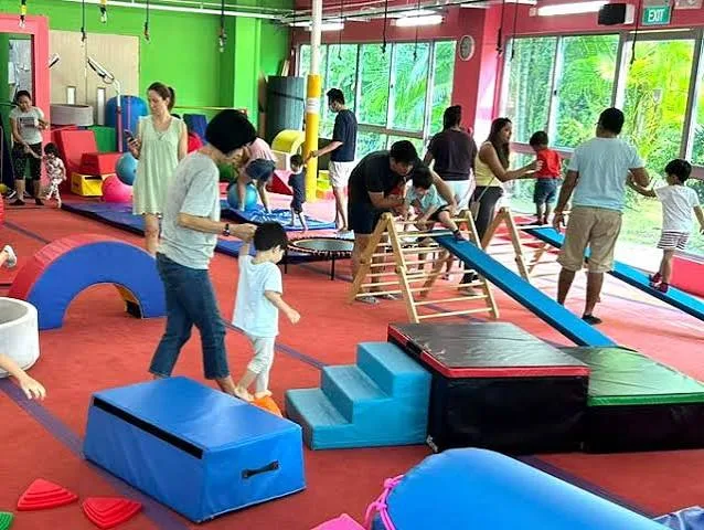 The Role of Gymnastics in Developing Healthy Habits and Physical Fitness for Kids