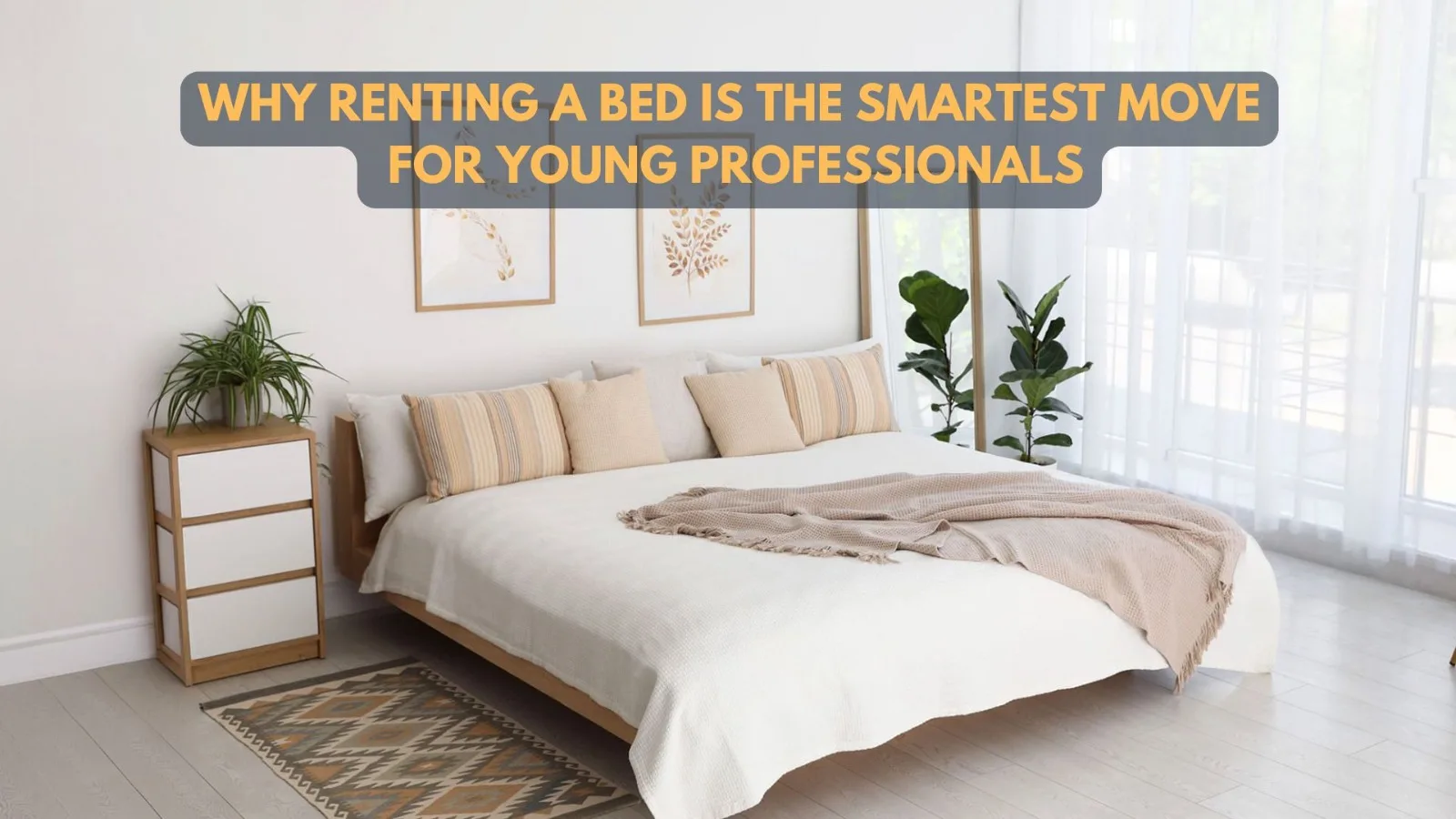 Why renting a bed is the smartest move for young professionals
