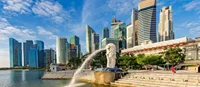 Company Registration Number Singapore: How to Find, Verify and Use It