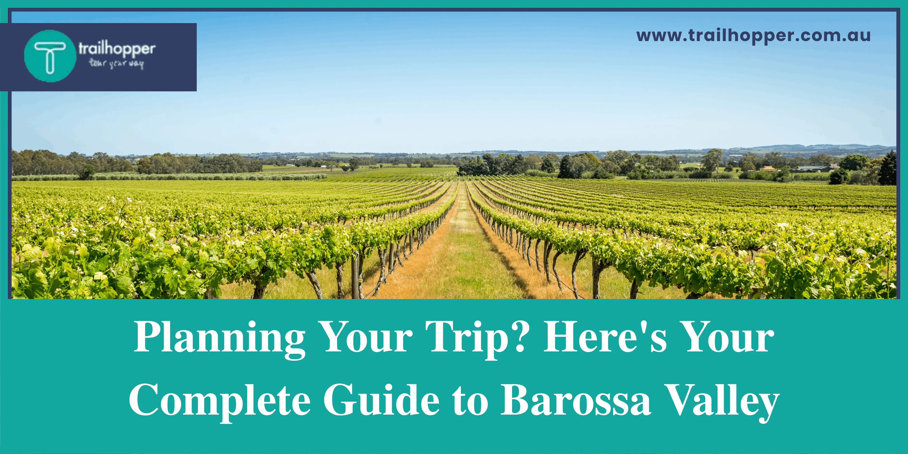 Planning Your Trip? Here's Your Complete Guide to Barossa Valley