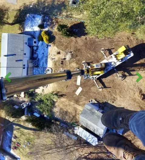 Professional Tree Removal Services by Lord's Tree Service