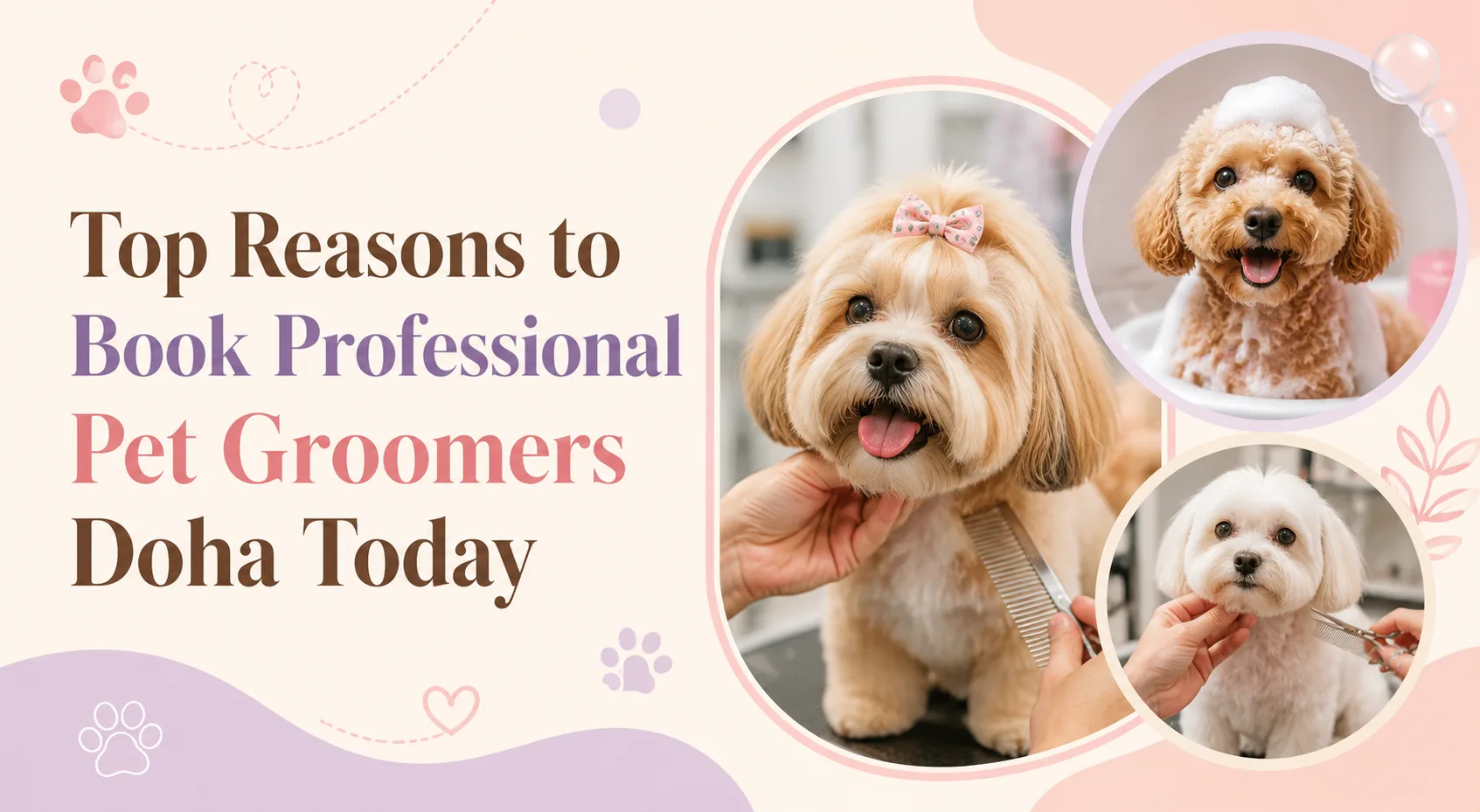 Top Reasons to Book Professional Pet Groomers Doha Today