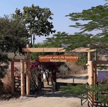 Wildlife Adventures at Tipeshwar Wildlife Sanctuary in Yavatmal