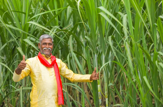 KrishifyApp Empowering India's Agricultural Community Through Digital Innovation