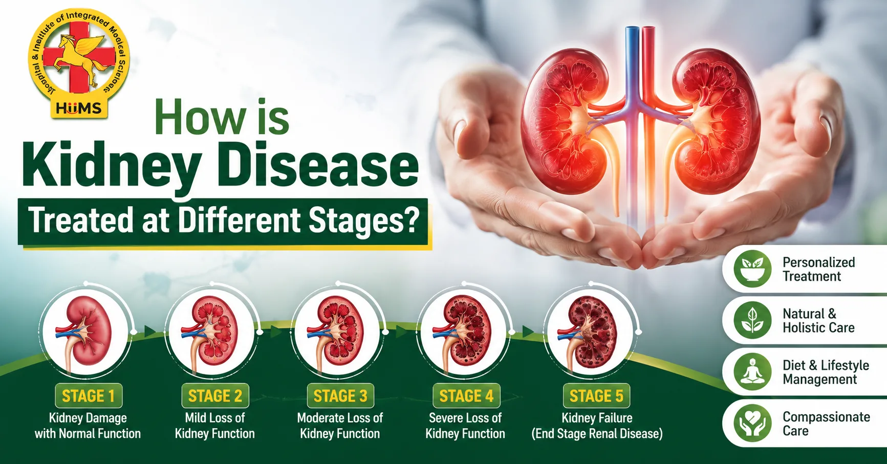 How Is Kidney Disease Treated at Different Stages?