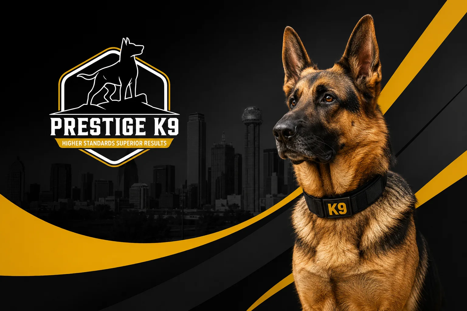 Top 10 Local Dog Training Companies in Dallas, Texas