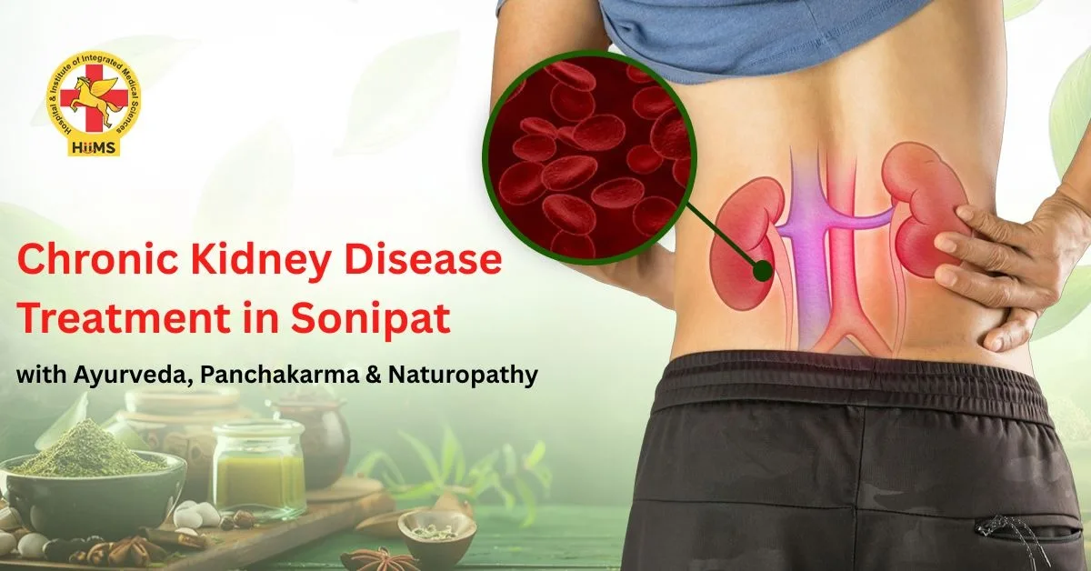 Chronic Kidney Disease Treatment in Sonipat with Ayurveda, Panchakarma & Naturopathy