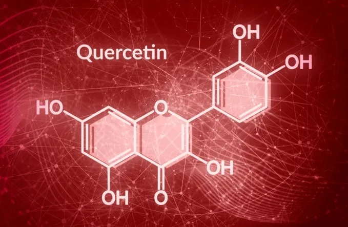 ForestLeaf Quercetin + Bromelain: Natural Allergy Relief