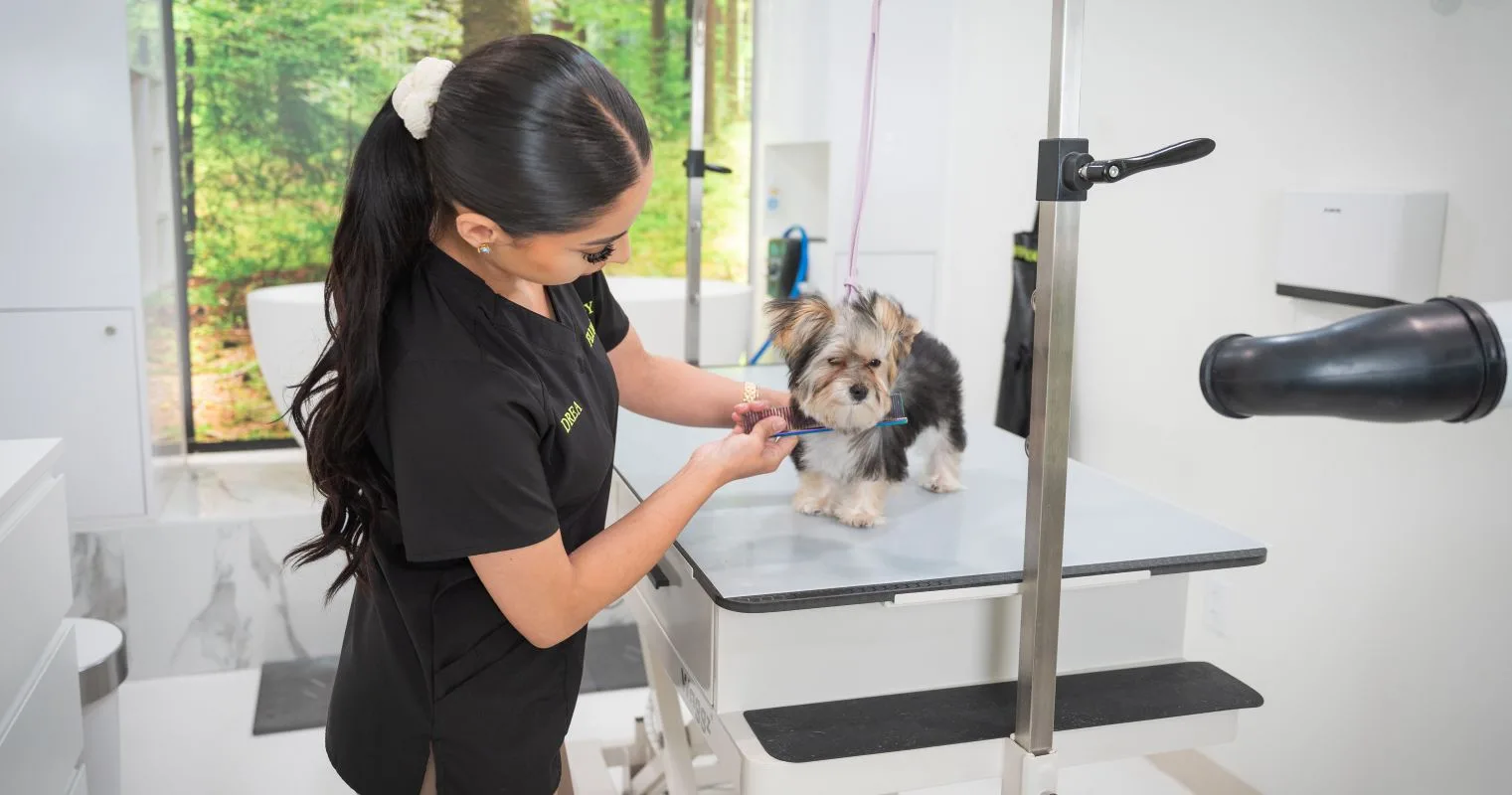 Complete Guide to Professional Dog Grooming Services for Happy and Healthy Pets in the USA