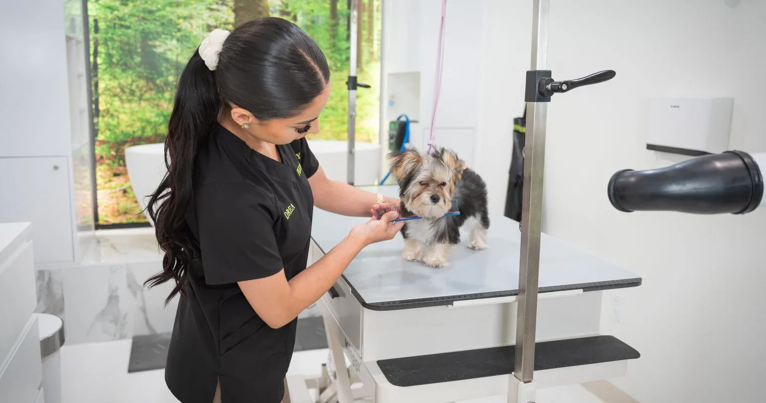Why Pet Owners Choose Professional Pet Grooming Packages in USA for Their Furry Friends
