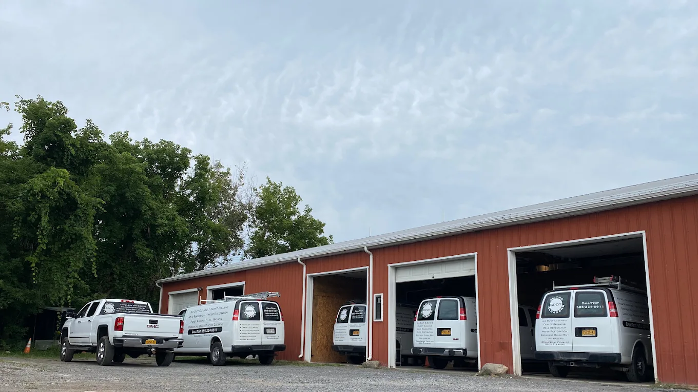 Mold in Heating and Cooling Systems: Causes, Health Risks & Prevention
