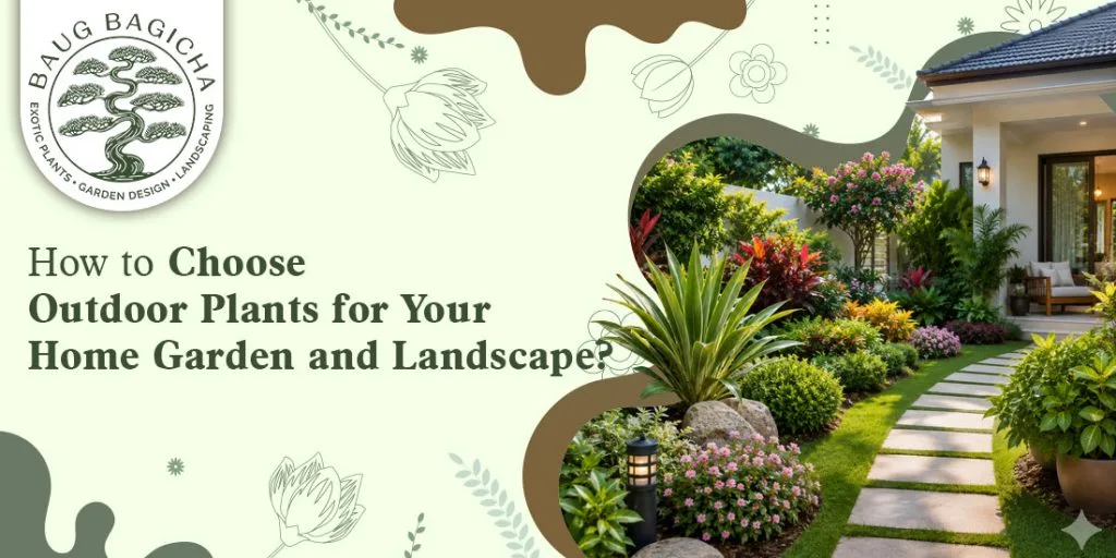 How to Choose Outdoor Plants for Your Home Garden and Landscape?