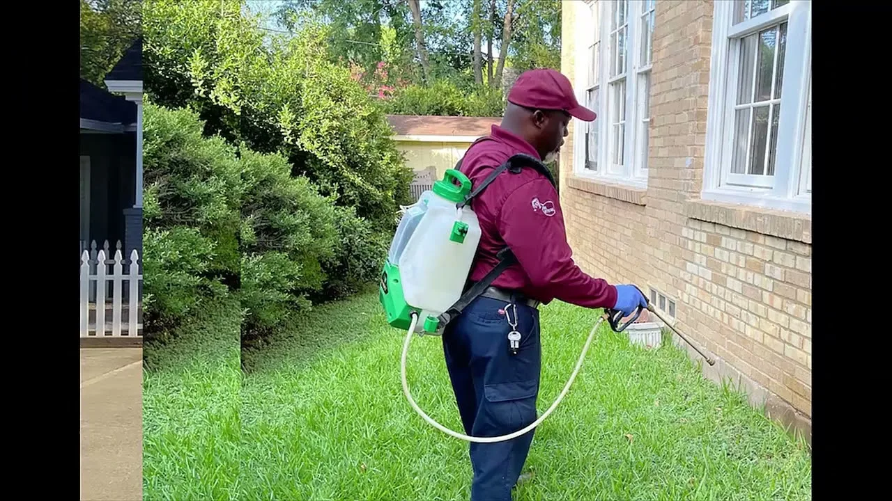 Pest Control Richmond Hill: Creating Safer and Healthier Living Spaces
