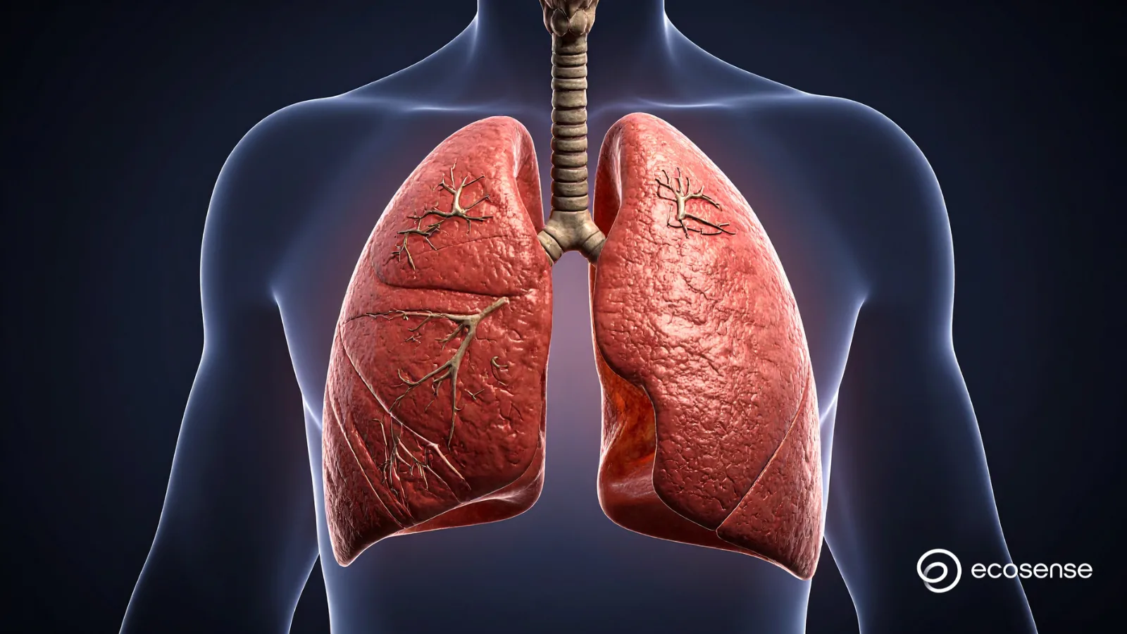 Radon & Lung Cancer: Canadian Research, Health Risks, and Approved Radon Devices