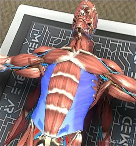 Why a Virtual Anatomy Model Is Essential for Healthcare Education
