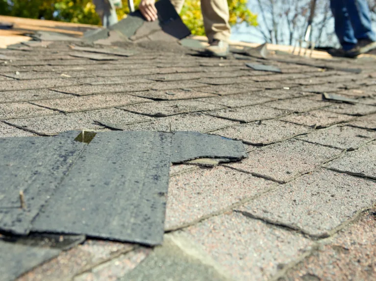 Best Roofing Materials for Long Lasting Protection