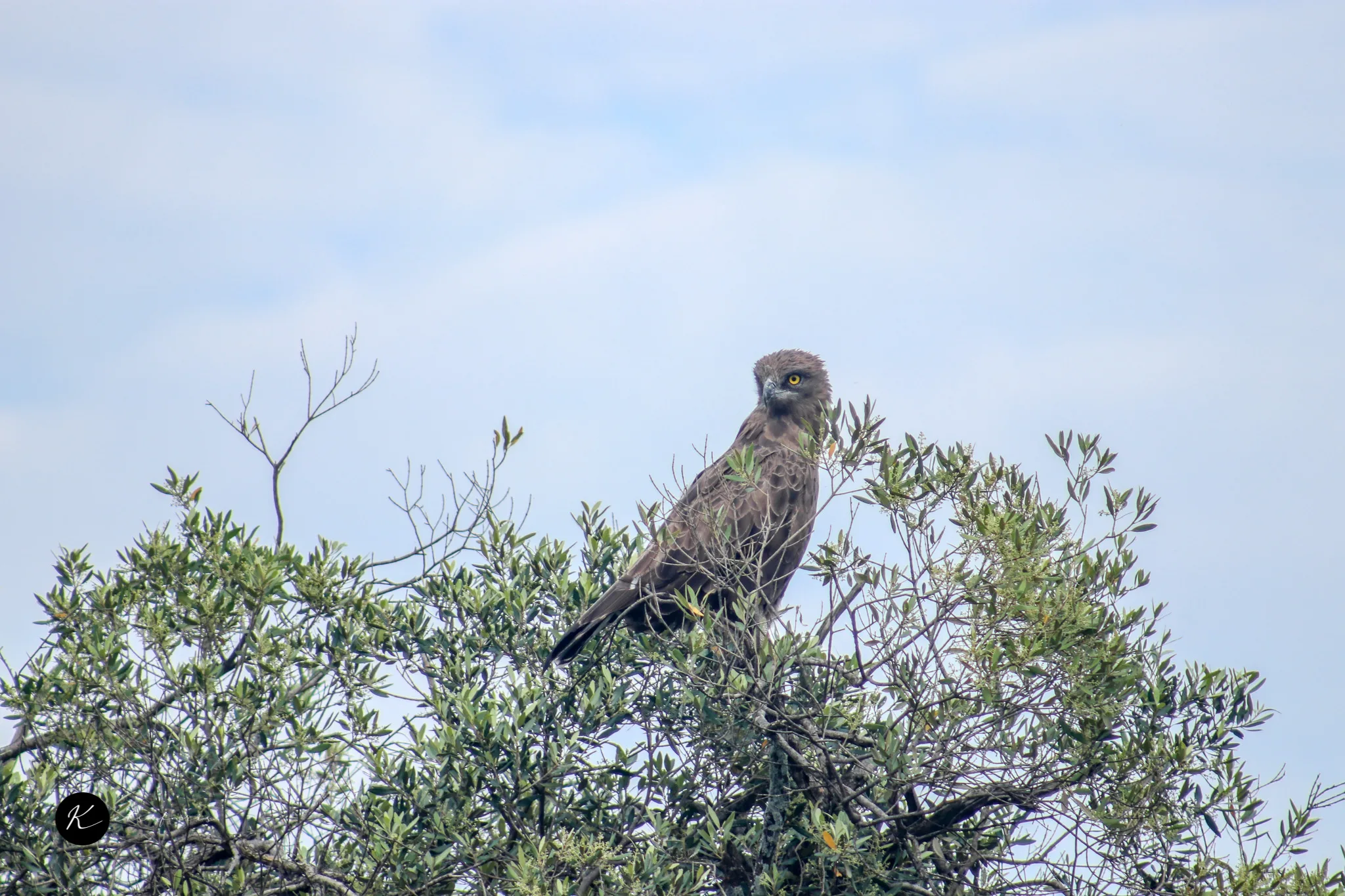 Tanzania Safari Packing List: What to Wear and Bring for Your Adventure