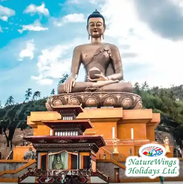 Experience Culture, Nature, and Spirituality with Bhutan Tour Packages from Delhi