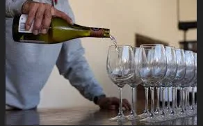 How a Seneca Lake Wine Tour Bus Makes Finger Lakes Wine Trips More Enjoyable