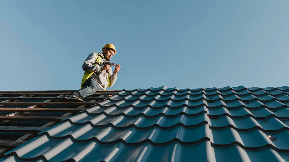 Roof Repair and Maintenance Services in Haywards Heath