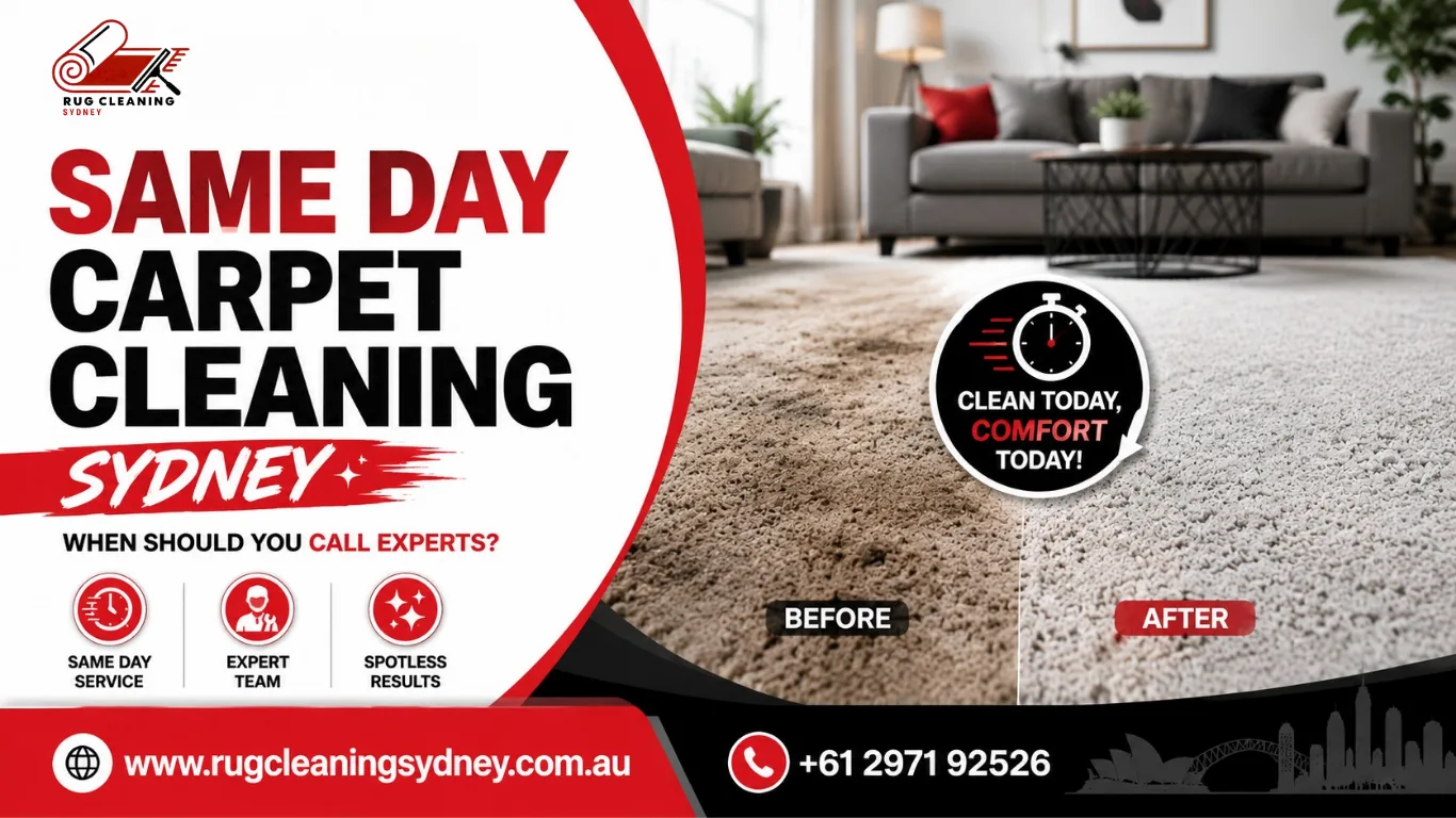 Same Day Carpet Cleaning Sydney: When Should You Call Experts?