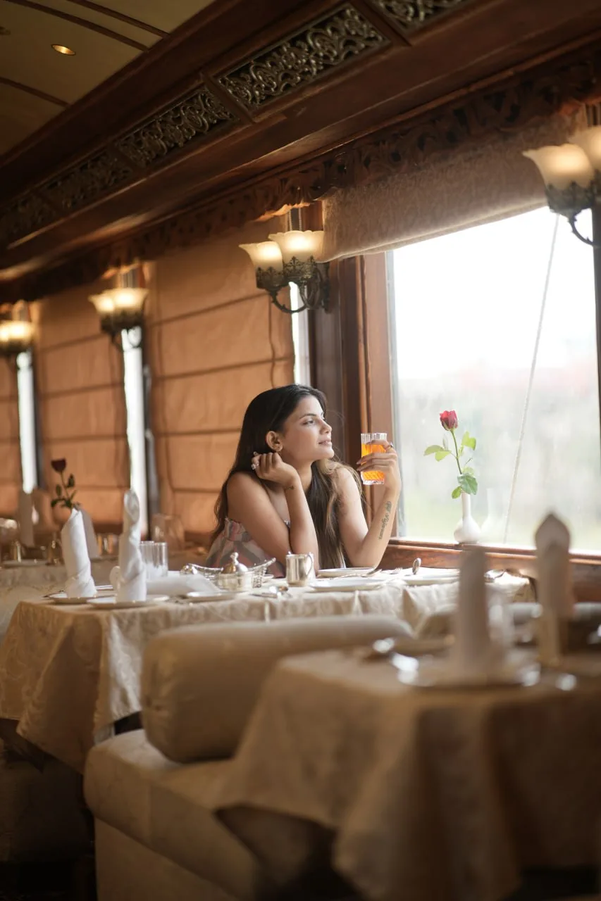 Palace on Wheels Complete Travel Guide 2026