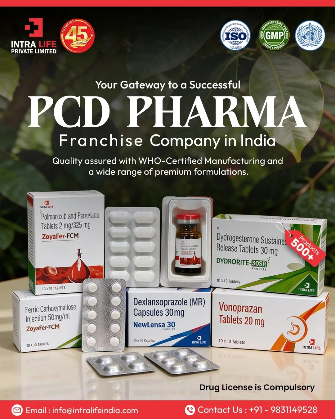 Exploring New Business Opportunities in Bangalore's Pharmaceutical Sector