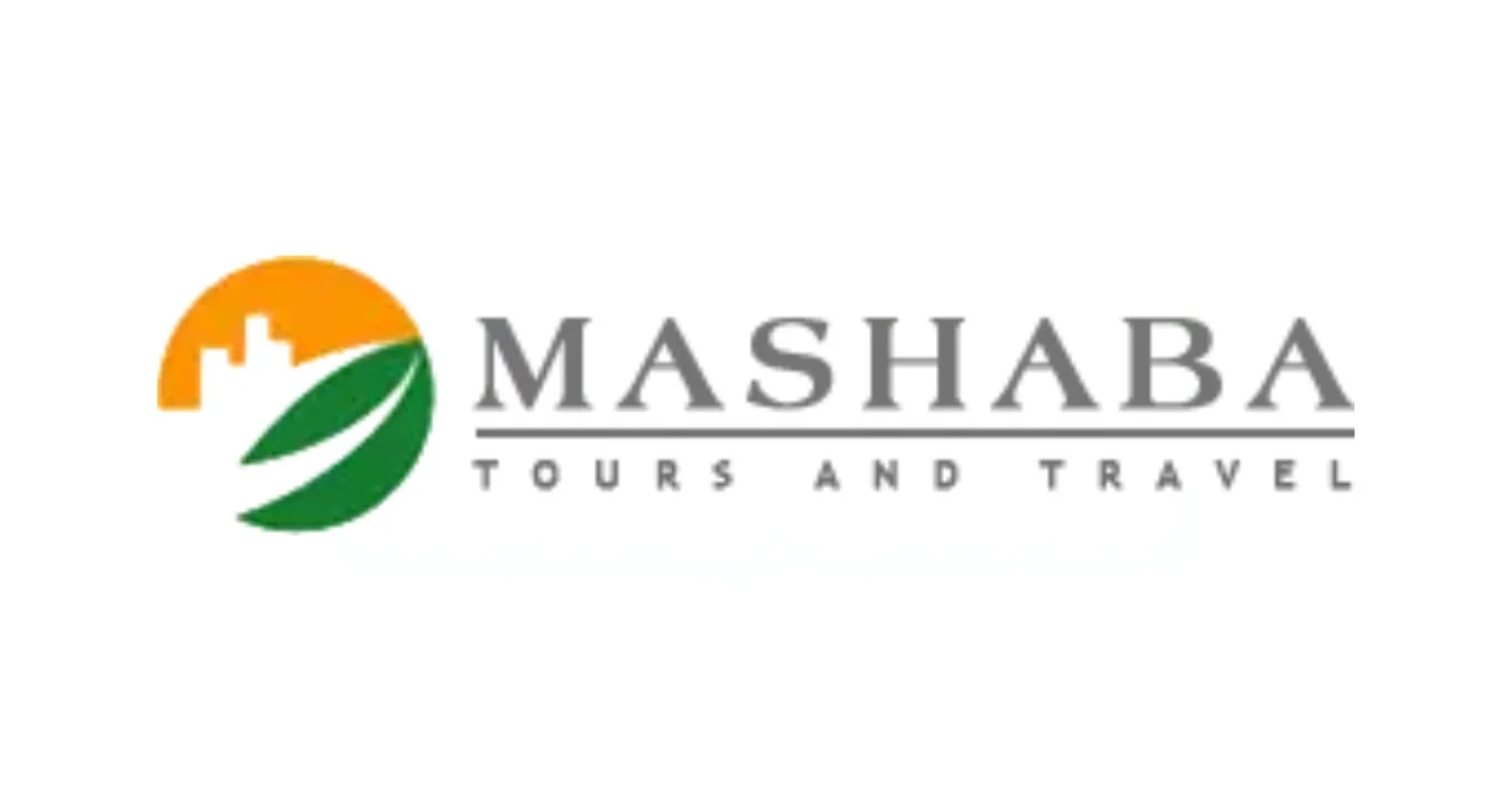 Mashaba Tours Sees Families Book Combined Soweto and Safari Days