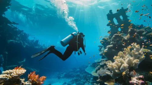 Why Scuba Diving in Andaman Should Be on Every Traveler’s Bucket List