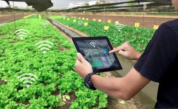 Transforming the Future of Farming with Shriram Farm Solutions