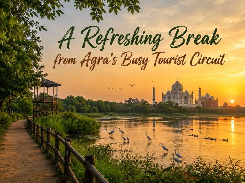 A Refreshing Break from Agra's Busy Tourist Circuit