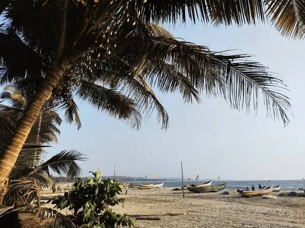 Dandi Beach Navsari: Ek Yaadgaar Coastal Destination