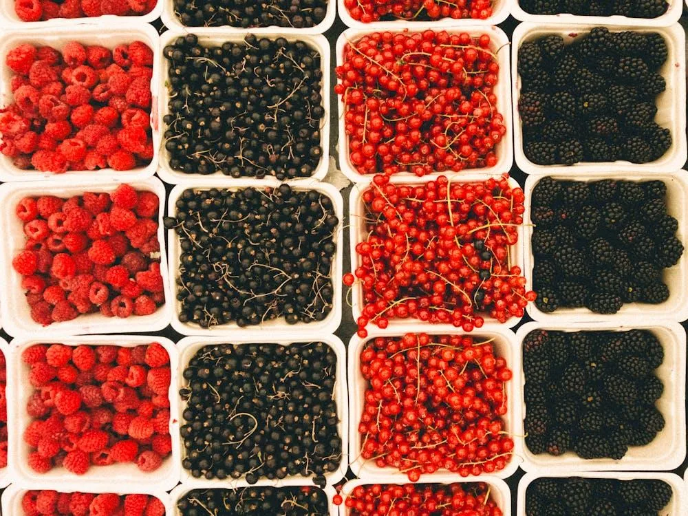 From Guesswork to Confidence: How Predictive Ordering Is Changing Food Distribution