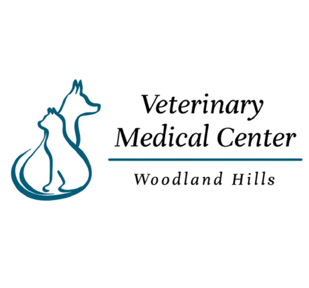 Why Choosing the Right San Fernando Valley Vet Is Essential for Your Pet’s Health