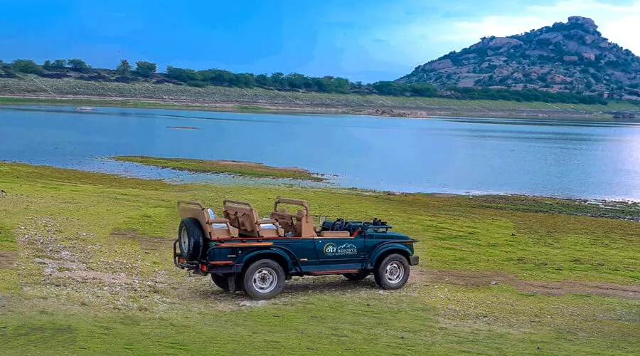 How to Explore Jawai: Expert Secrets for Leopard Safari