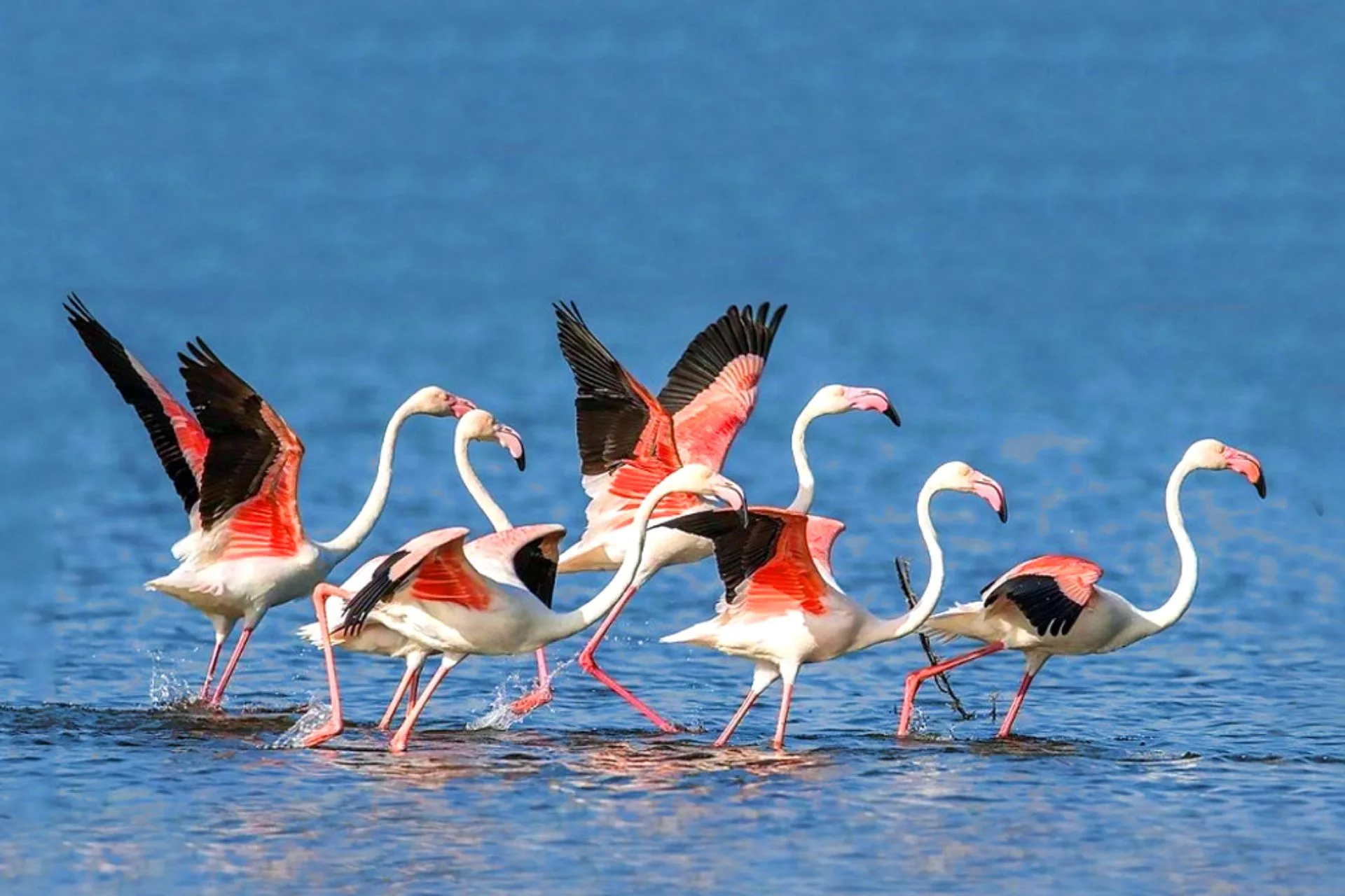 Top Attractions in Jawai & Bera: Essential Travel Guide