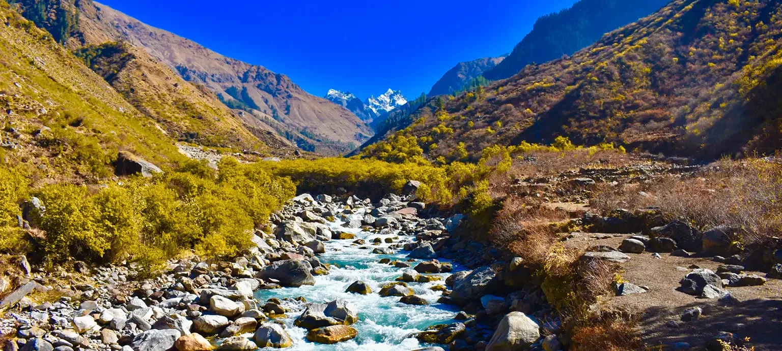 Dayara Bugyal Trek Review: The Trip I Didn’t Want to End