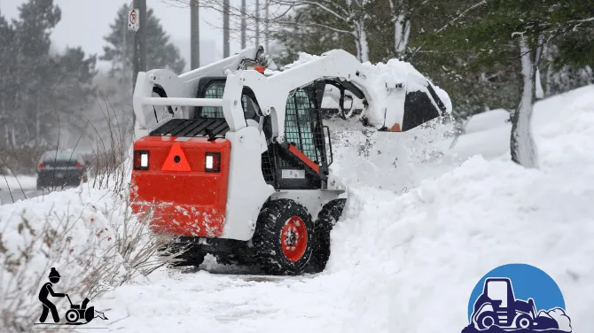 7 Mistakes to Avoid When Choosing a Brush Clearing Service in Halifax