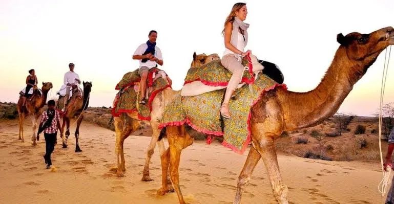 7 Unforgettable Experiences You Can Only Have in Rajasthan