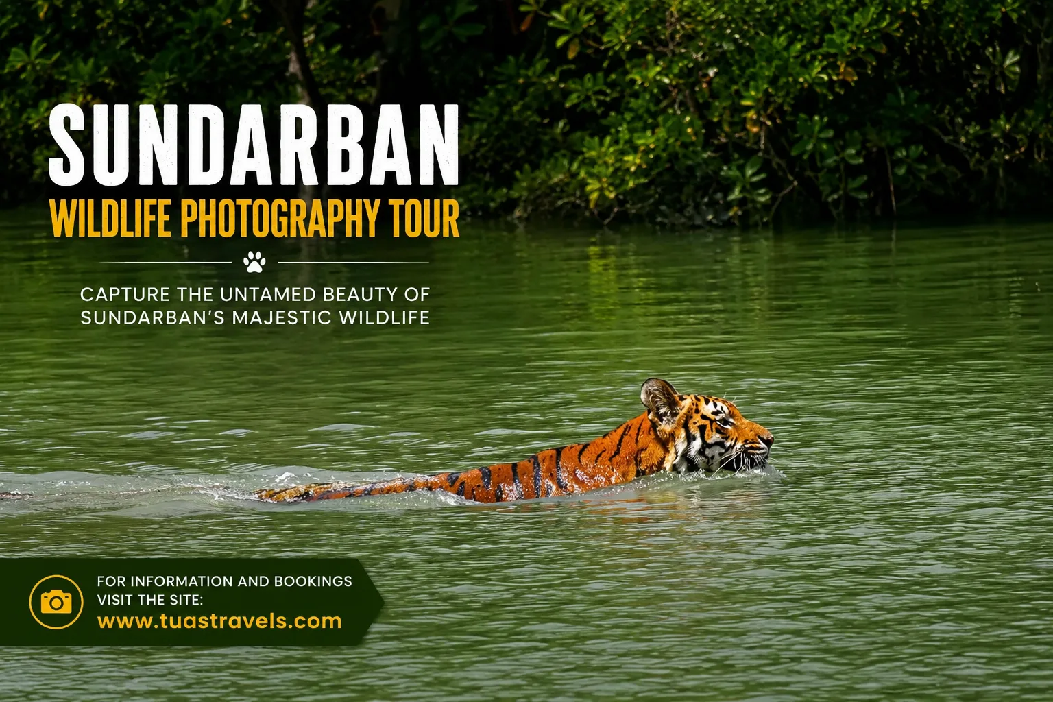 Take To The Land Of Sundarban Wildlife Photography With This Camera Gear Guide