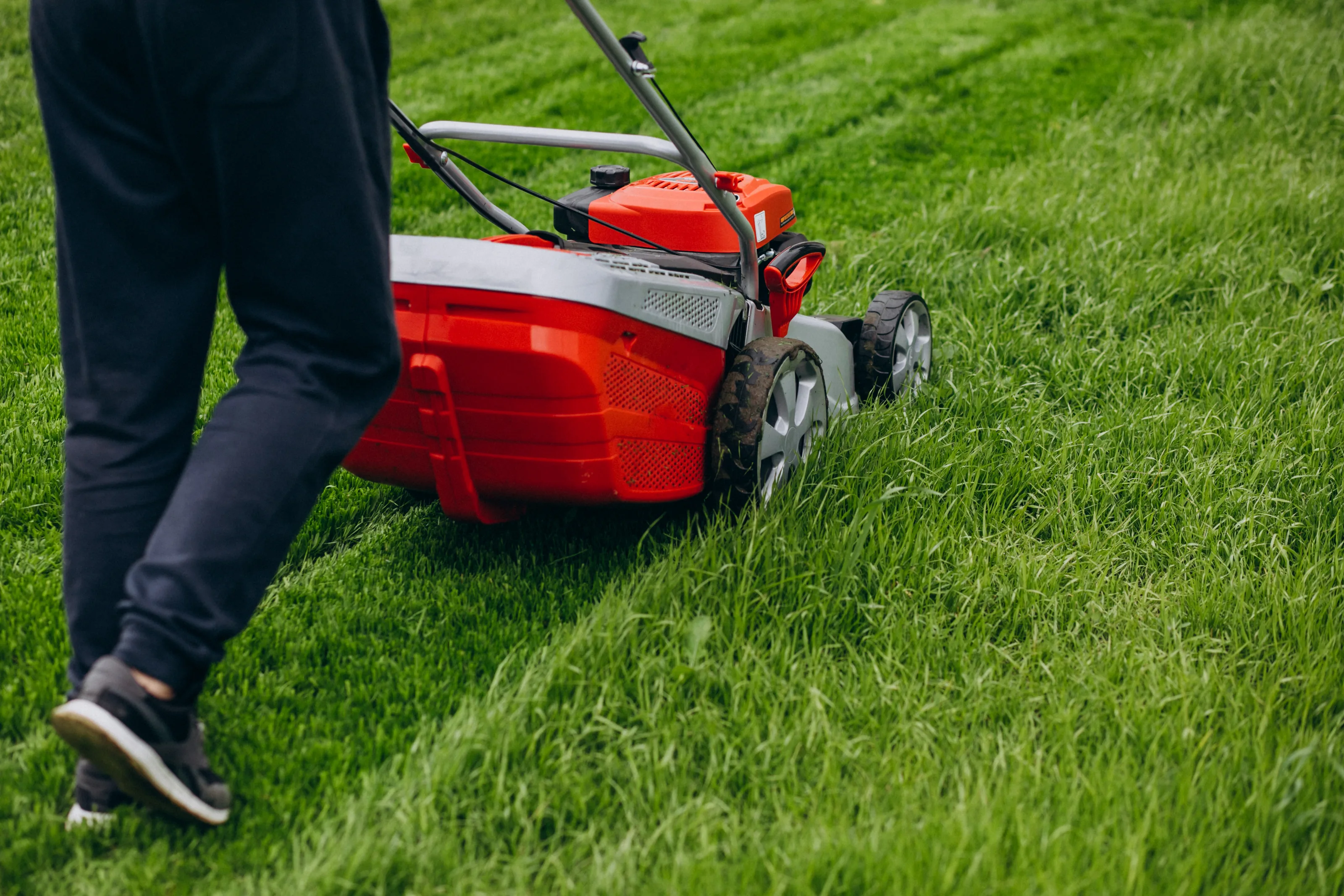 How Can Landscaping Services Improve Your Property’s Value and Curb Appeal in Herndon?