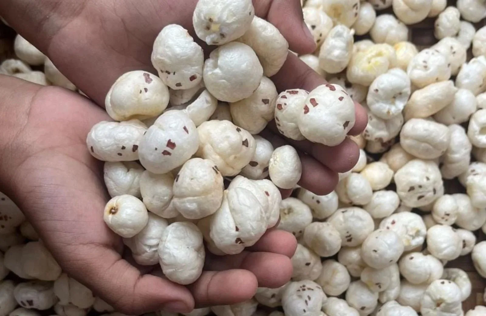 Finding the perfect popcorn healthy alternative snack for your daily routine