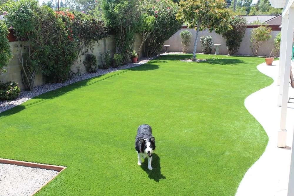 The Role of Artificial Turf in Urban Development