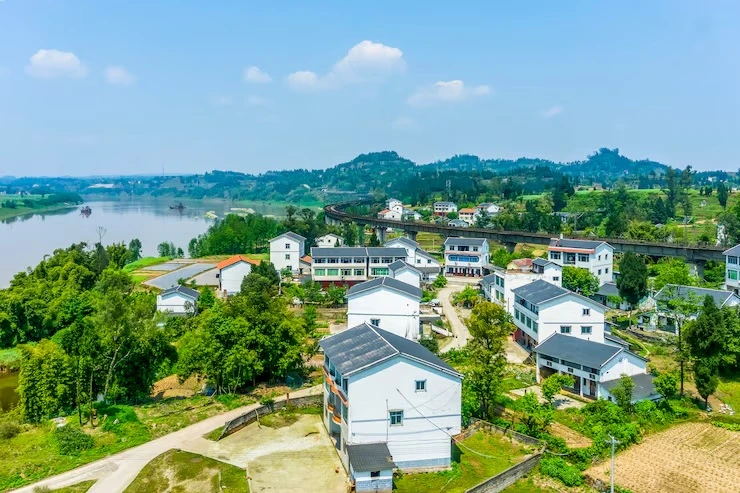 Why a Local Realtor is Your Best Resource in the Bay Area Market